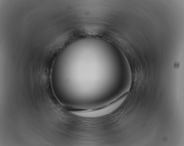 X0000092260559200709281206