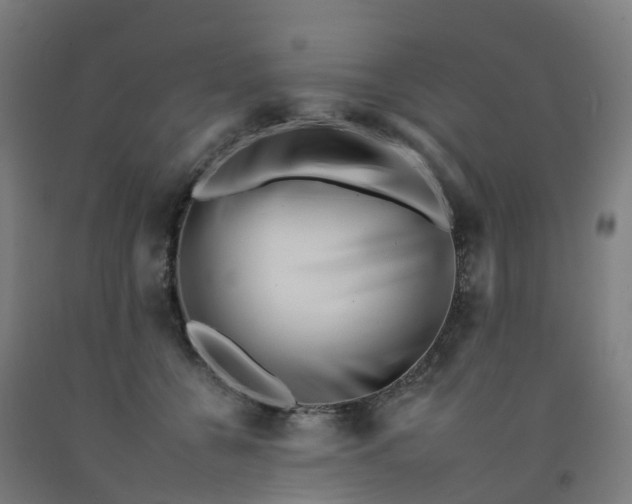 X0000092260560200709281206