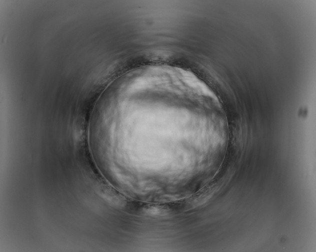 X0000092260561200709281206