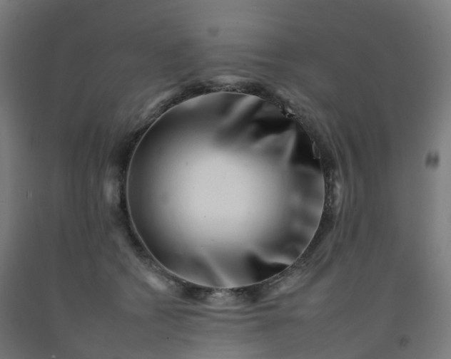 X0000092260562200709281206