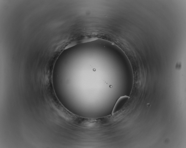 X0000092260563200709281206