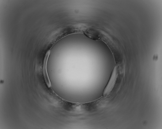 X0000092260564200709281206