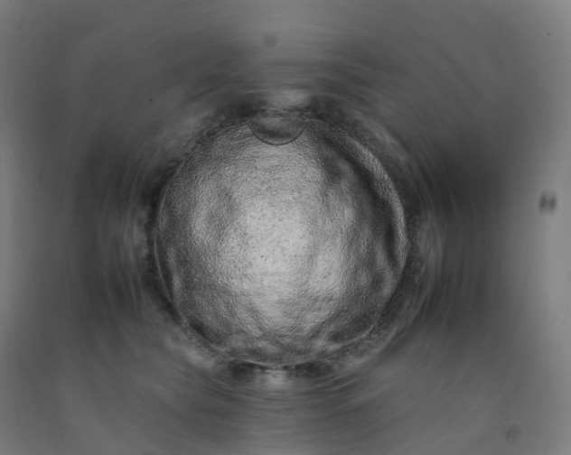 X0000092260565200709281206