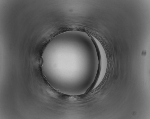 X0000092260566200709281206