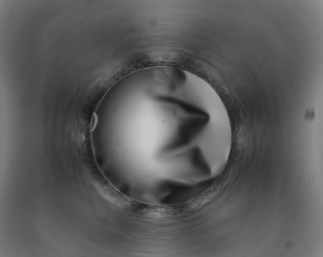 X0000092260567200709281206