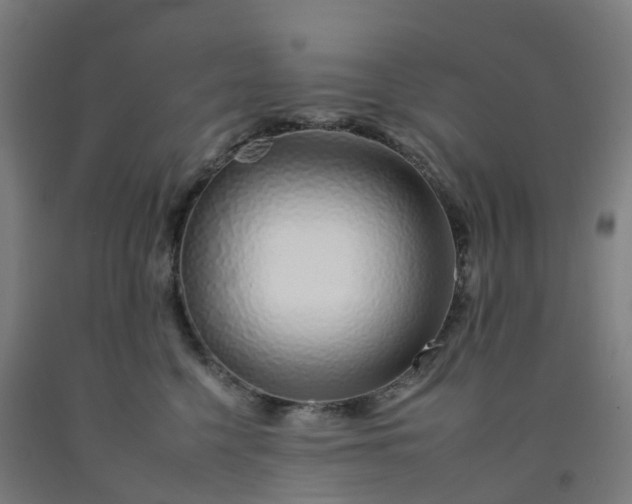 X0000092260568200709281206