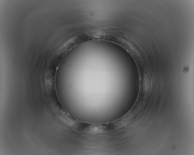 X0000092260569200709281206