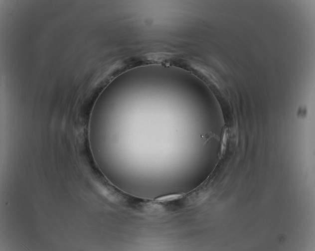 X0000092260572200709281206