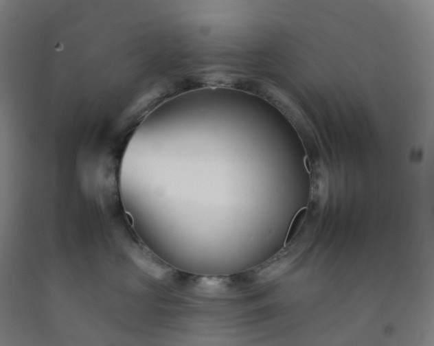 X0000092260573200709281206