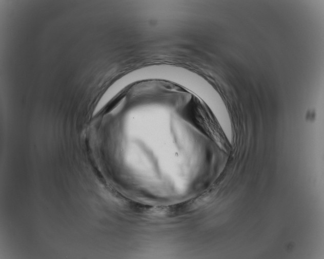 X0000092260574200709281206