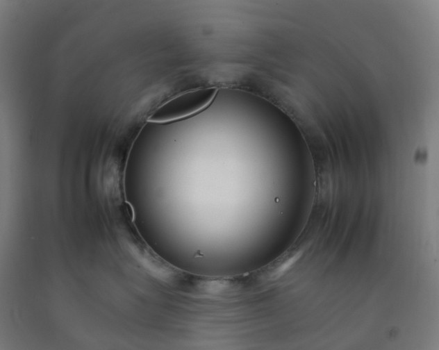 X0000092260575200709281206