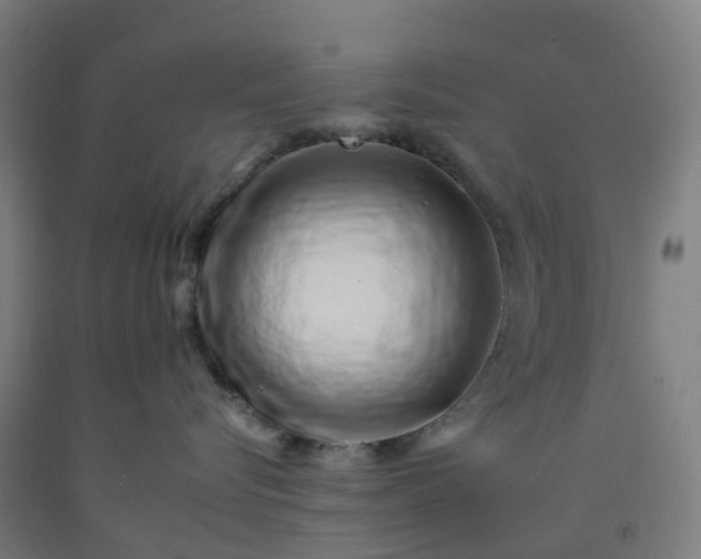 X0000092260576200709281206