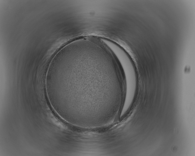 X0000092260577200709281206