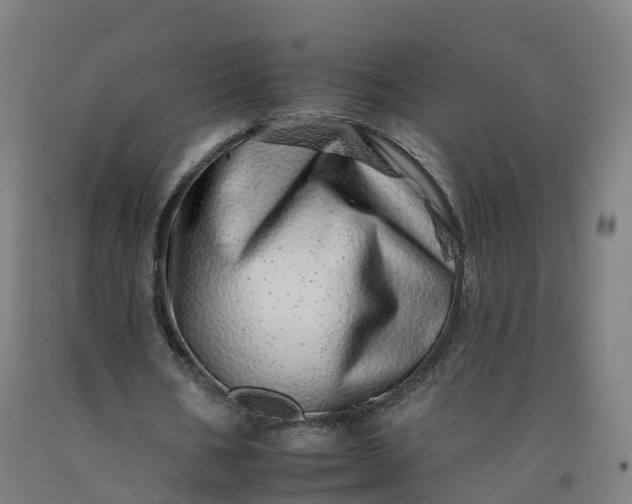 X0000092260578200709281206