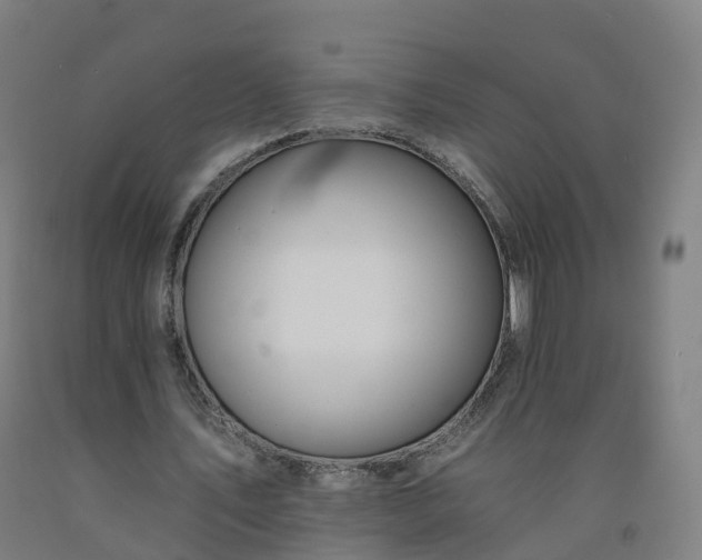 X0000092260579200709281206