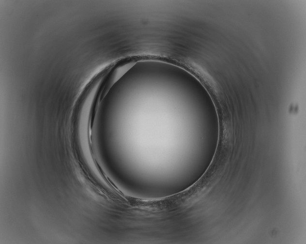 X0000092260580200709281206