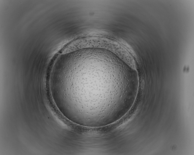 X0000092260581200709281206