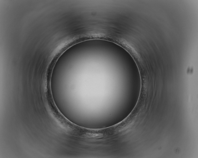 X0000092260582200709281205