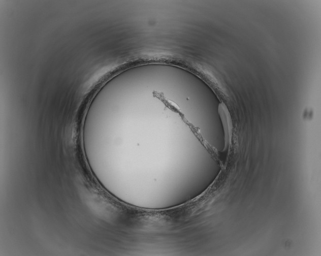 X0000092260583200709281205