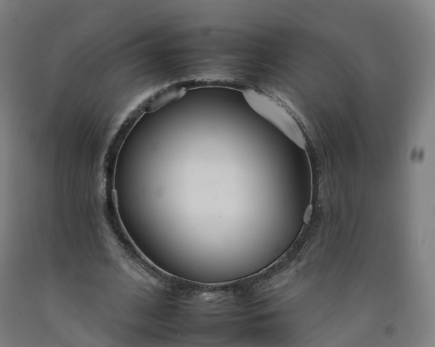 X0000092260584200709281205