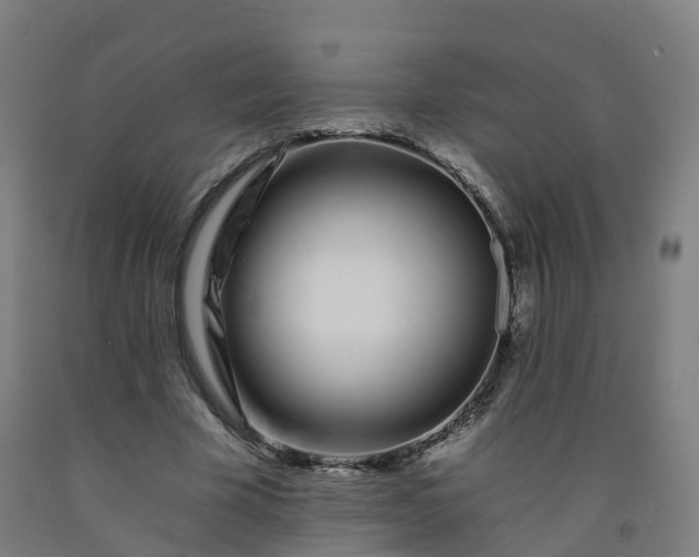 X0000092260585200709281205