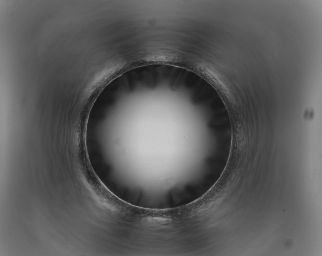 X0000092260586200709281205