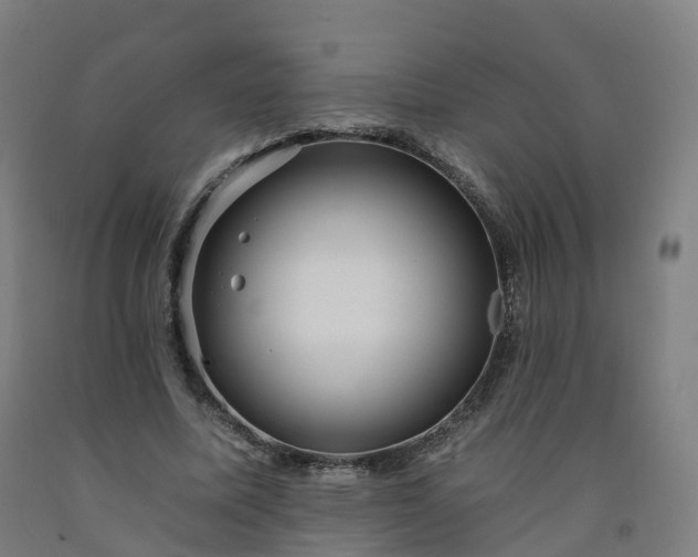 X0000092260587200709281205