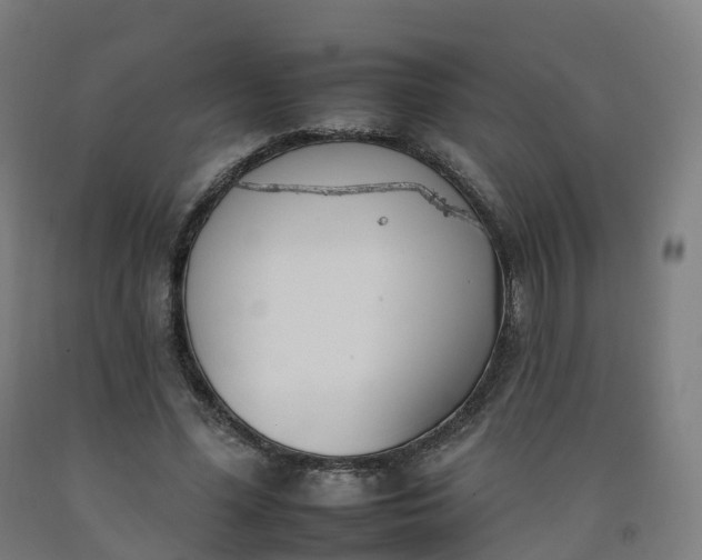 X0000092260588200709281205