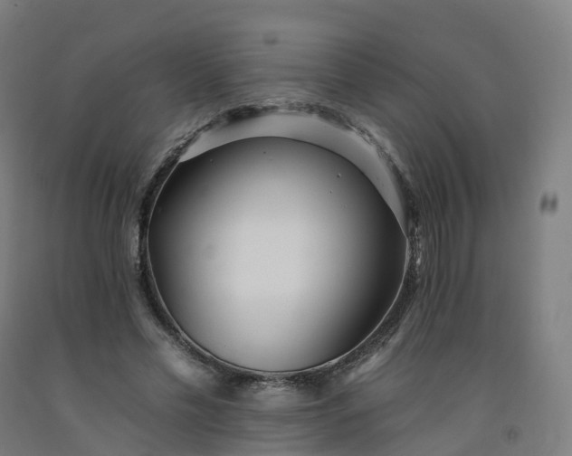 X0000092260589200709281205