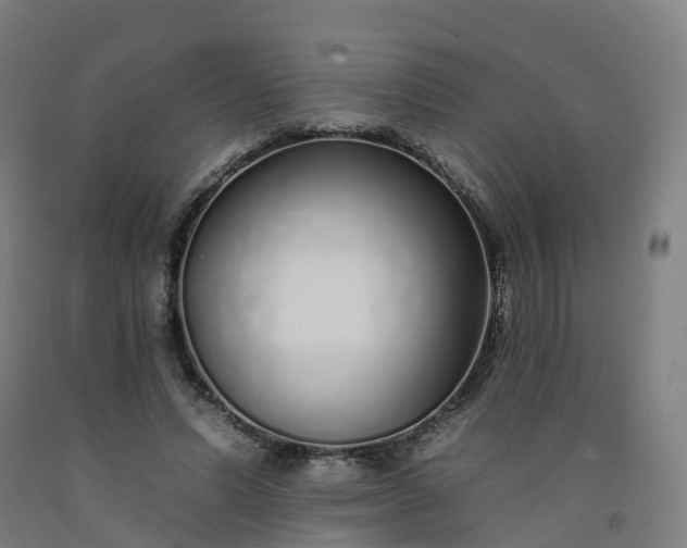 X0000092260591200709281205