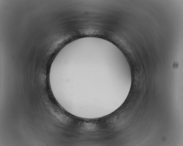 X0000092260592200709281205