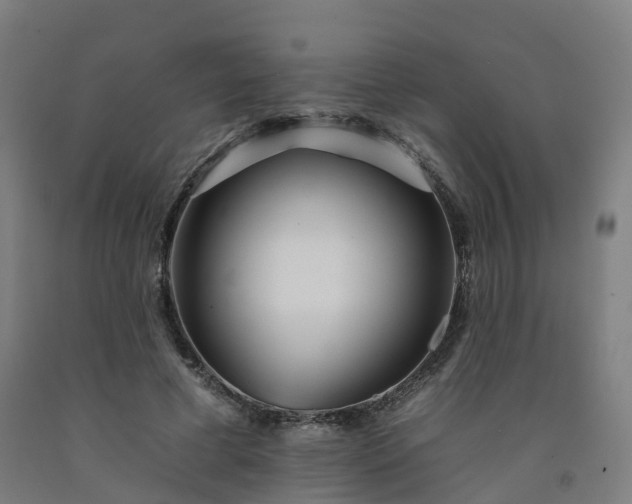 X0000092260593200709281205