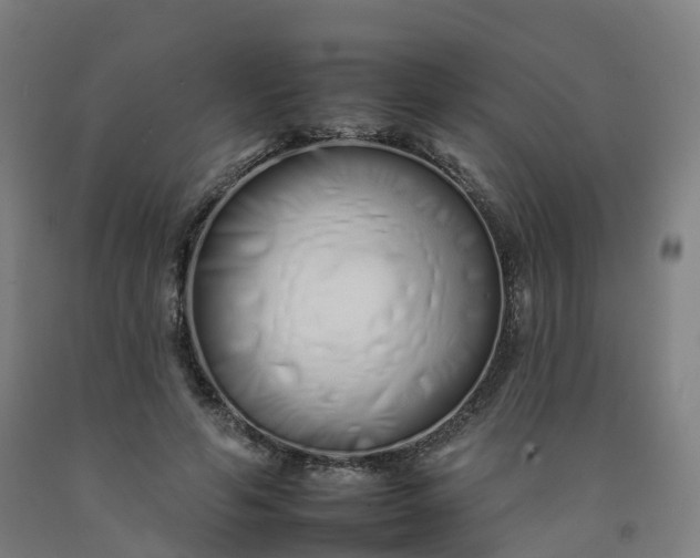 X0000092260594200709281205