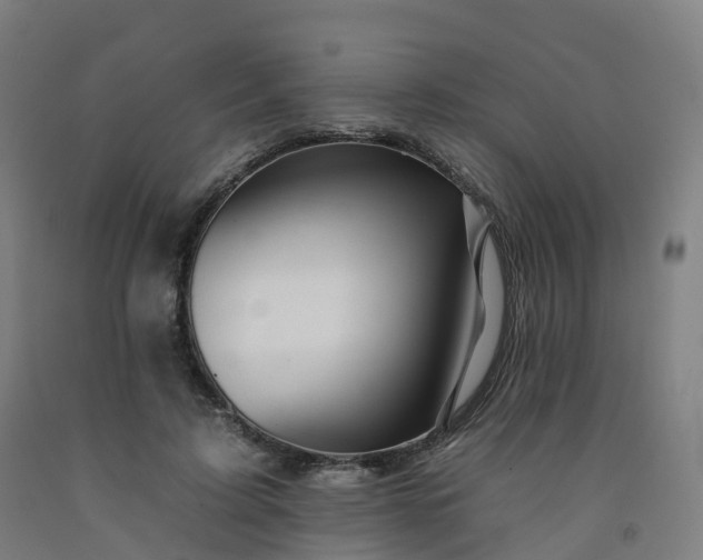 X0000092260595200709281205