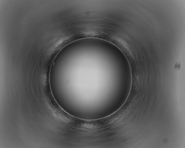 X0000092260596200709281205