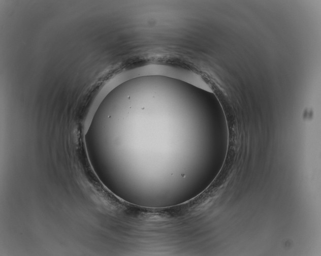 X0000092260597200709281205