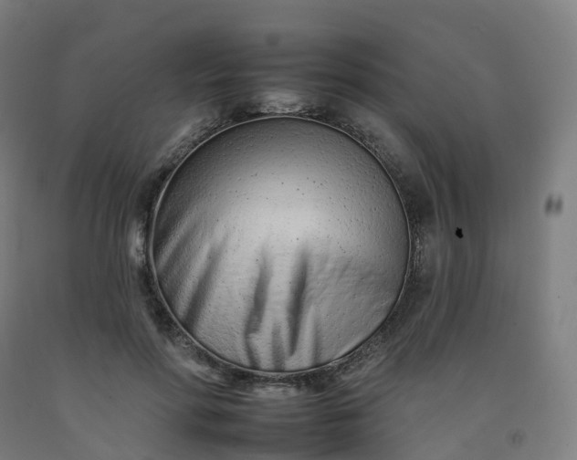 X0000092260598200709281205