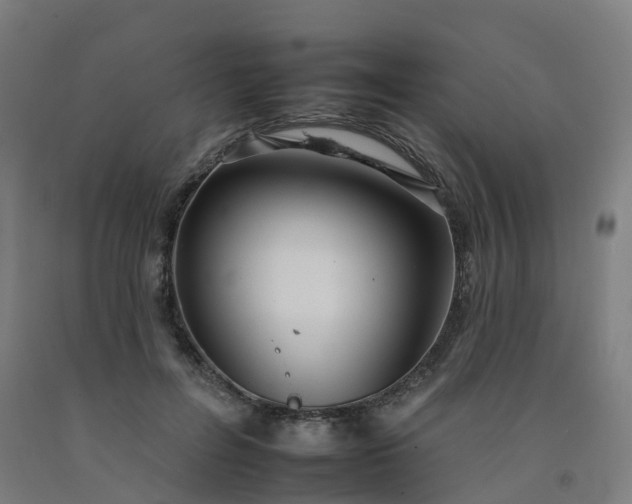 X0000092260600200709281205