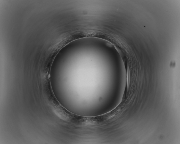 X0000092260601200709281205