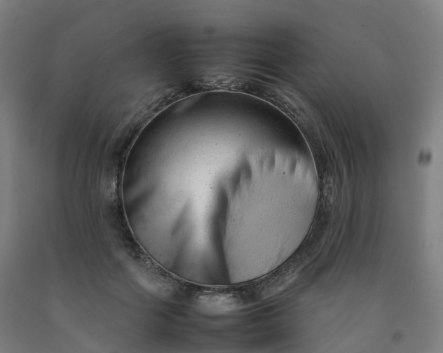 X0000092260602200709281205