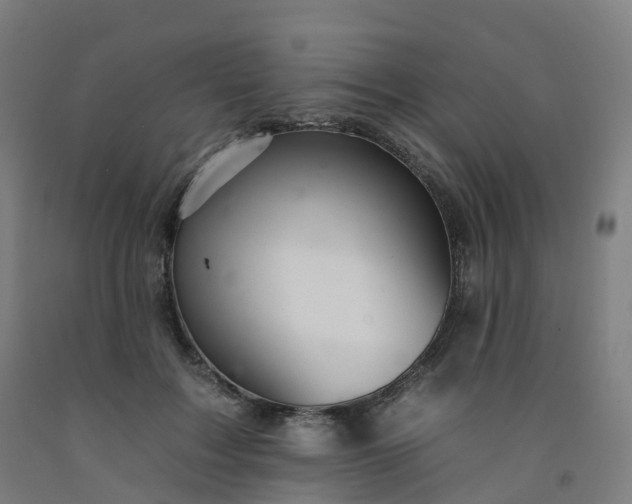 X0000092260603200709281205