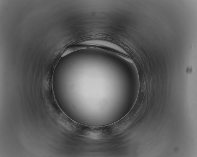 X0000092260604200709281205