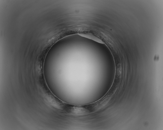 X0000092260605200709281205