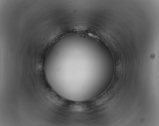 X0000092260608200709281205