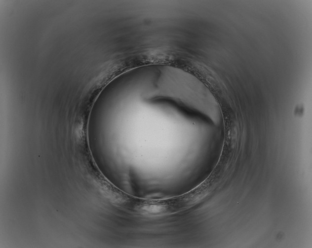 X0000092260610200709281205