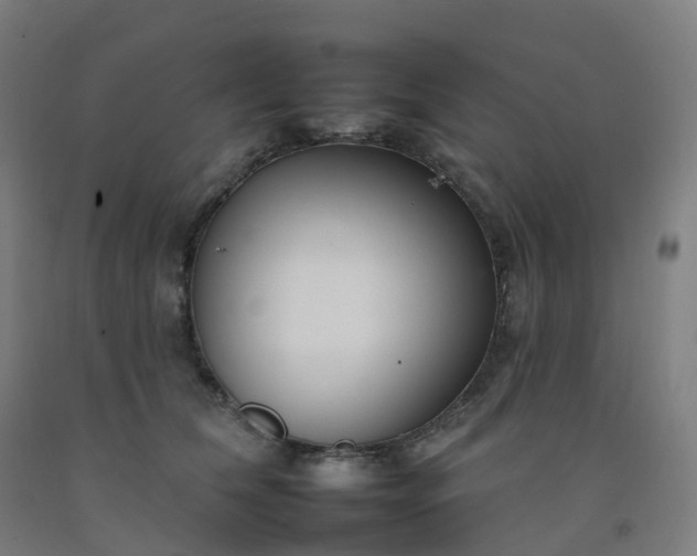 X0000092260612200709281205