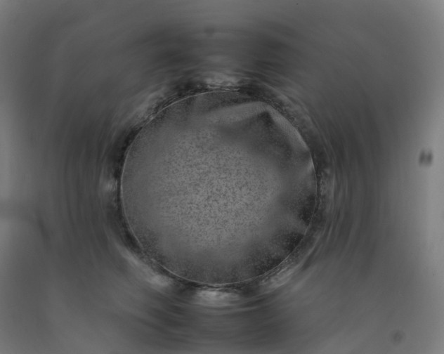 X0000092260614200709281205