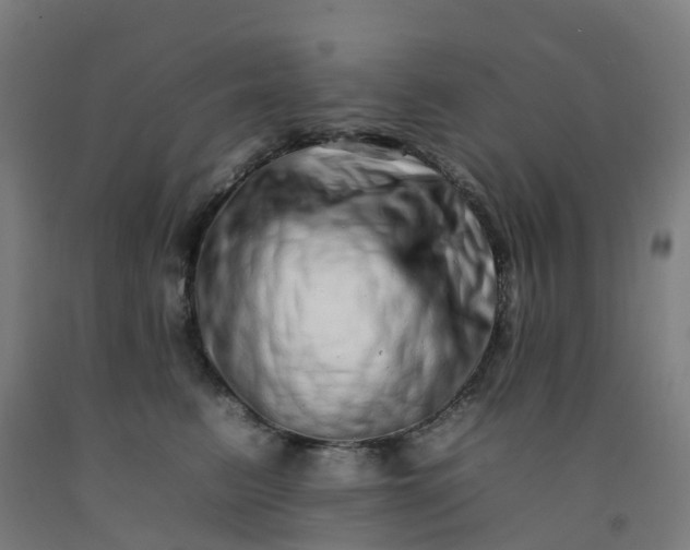 X0000092260615200709281205