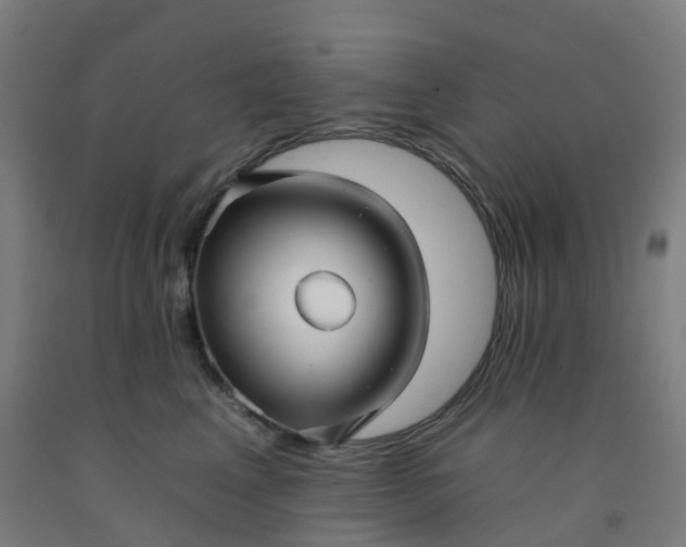 X0000092260617200709281205