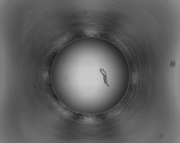 X0000092260618200709281205